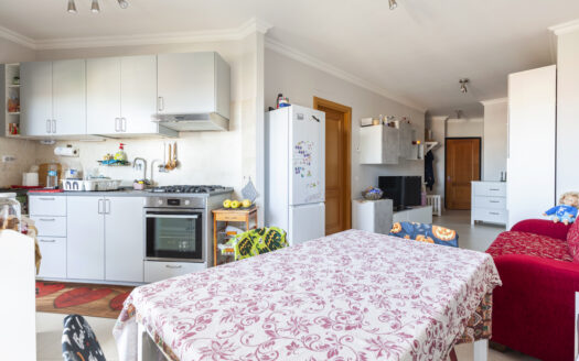 BILOCALE RISTRUTTURATO IN VIA LUIGI DE MARCHI CON BOX AUTO